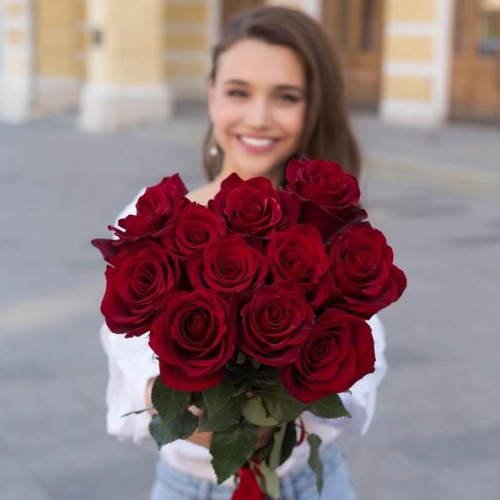 11 красных роз Эквадор 50 см