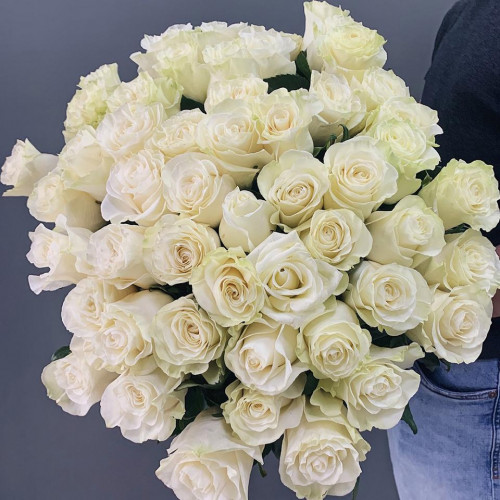 51 роза Эквадор 60 см